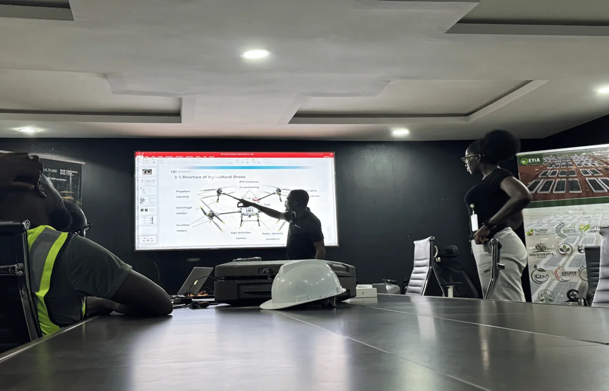 Building Cross-Border Human Capacity Across 25+ African Nations